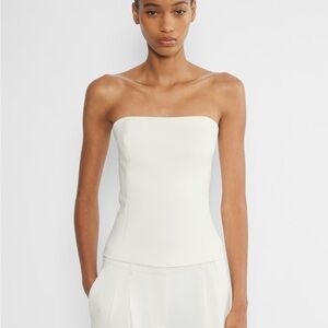 Aritzia Babaton Strapless Bustier